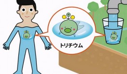 日本发布放射性氚“吉祥物”（宣传动画及传单当天就被骂下架）