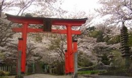 日本的神社都有哪些（日本有多少个神社）