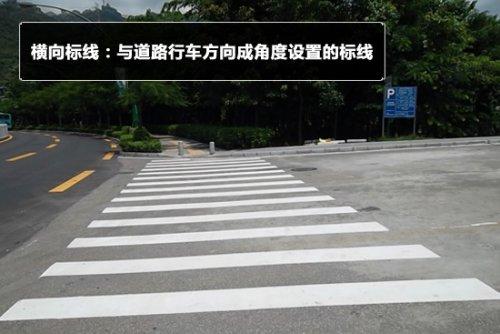 道路路标图片大全（教你认道路交通标志线图解）(2)