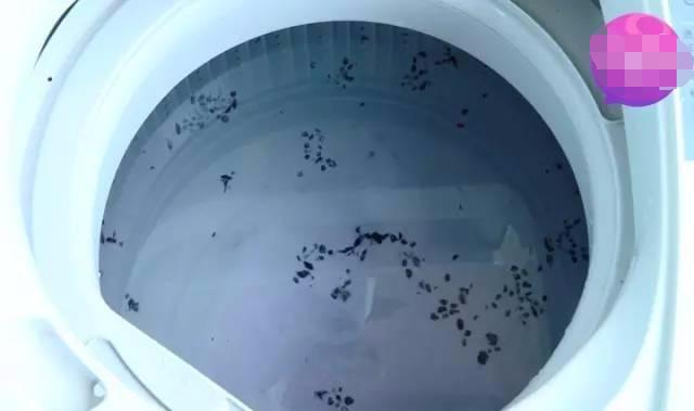 清理洗衣机用什么办法清理的最干净（洗衣机脏了怎么洗掉小妙招）(8)