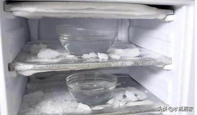 冰箱保鲜室老是冻坏蔬菜怎么办（冰箱老是把菜冻坏解决方法）(6)